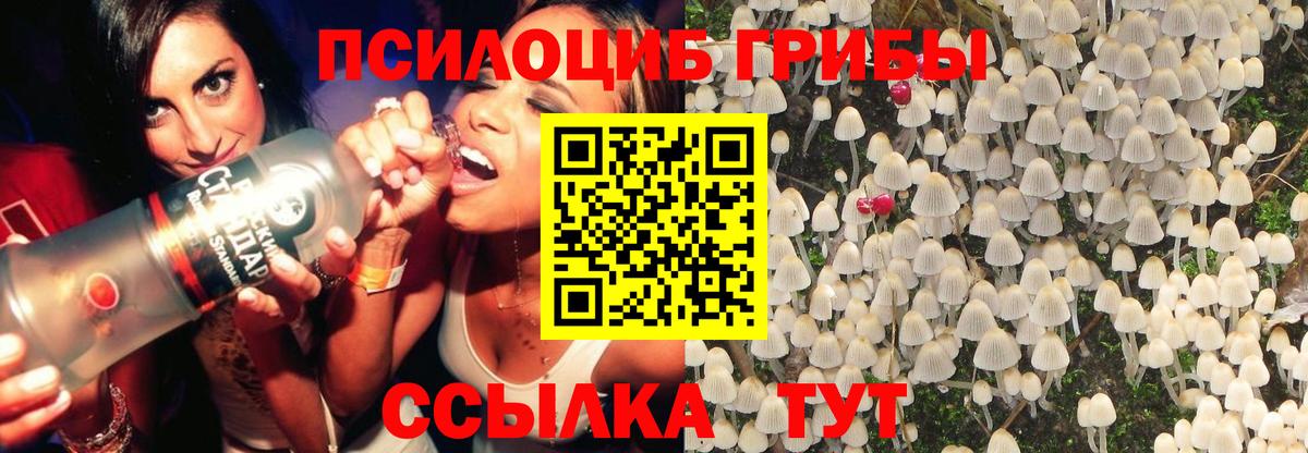 Псилоцибиновые грибы Psilocybine cubensis  Псилоцибиновые грибы Psilocybe  Вход с VPN  Аксай 