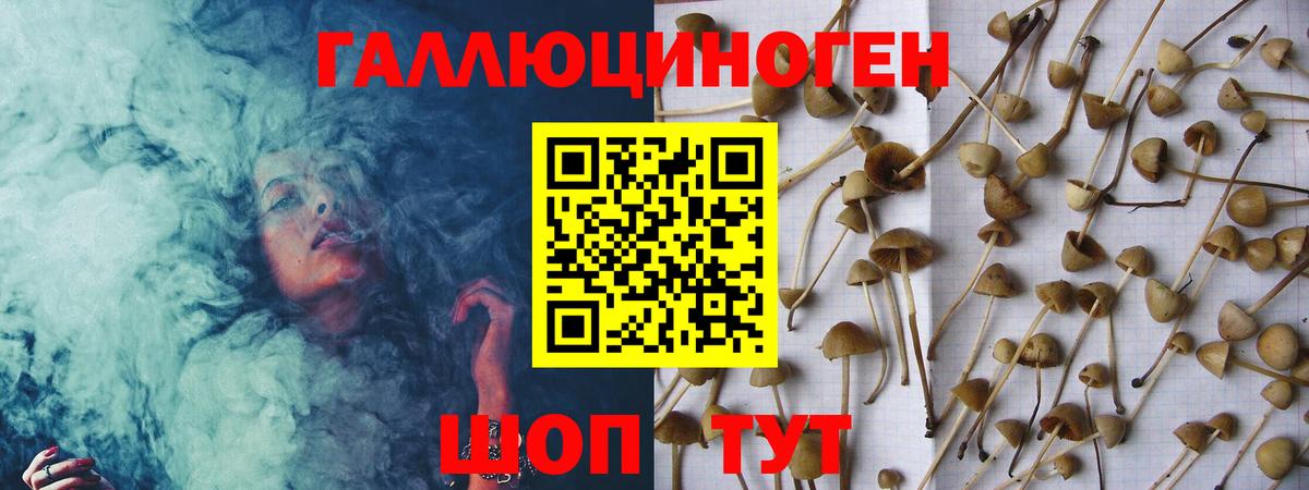 Галлюциногенные грибы GOLDEN TEACHER Аксай
