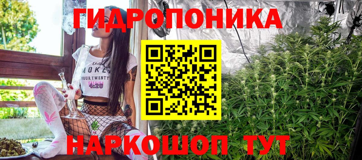 Бошки марихуана OG Kush Аксай